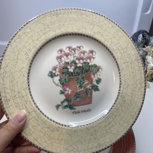 Set of 4 Wedgwood Sarah's Garden Salad Plates - One of Each Color 8 1/4” - Picture 11 of 14